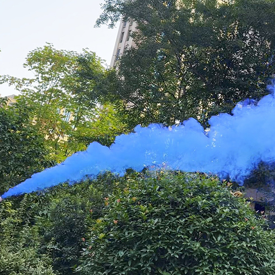 гендерный дым с интригой белый дым переход в синий или красный