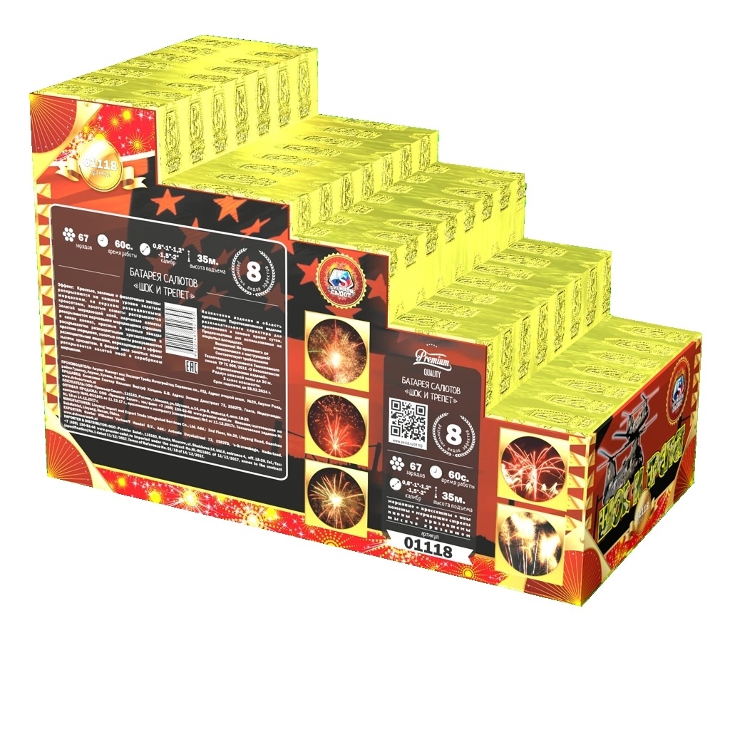 Шок и трепет